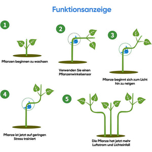 Biegewerkzeuge für Pflanzen