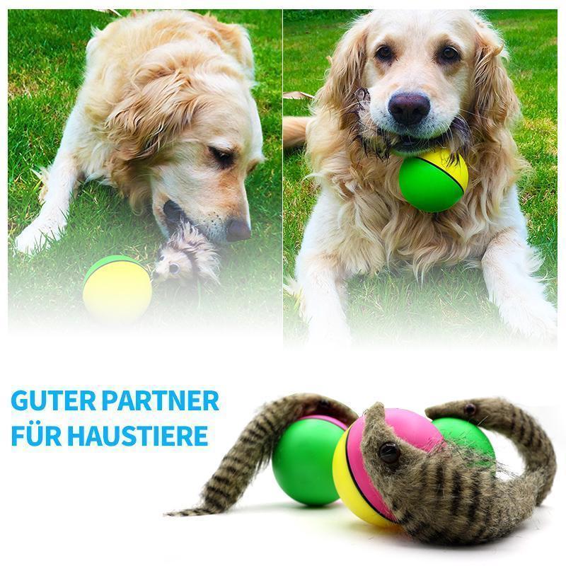 Biber Ball für Haustier